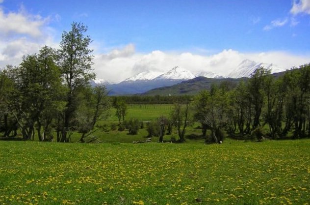 Campo Río Pico - Chubut